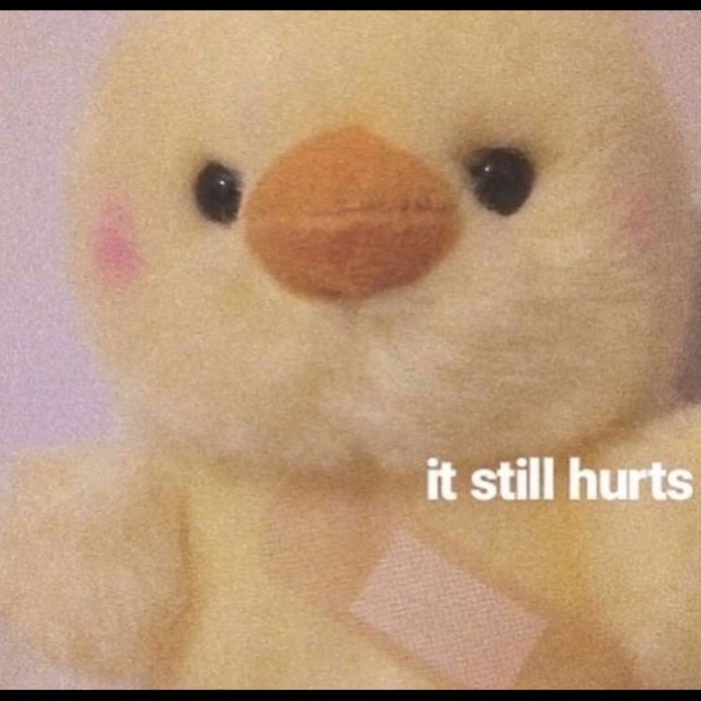 Meet your Posher, Jazmin